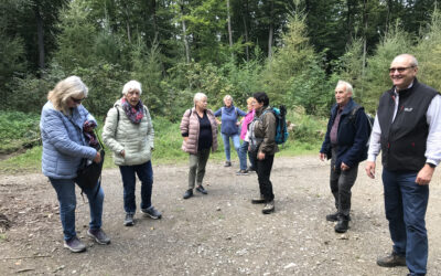 Bürgerverein: Wanderung durch den Osterwald